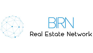 Birn Project Logo